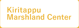 kiritappu marshland center